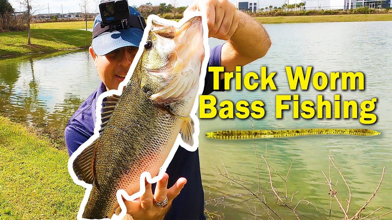 Caught 7 Bass! | 2-4 Pound Bass loved my Zoom Trick Worms | Florida Bass Fishing