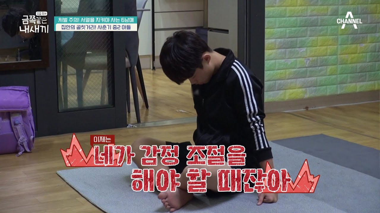 화가 나면 욕은 기본, 벽을 쾅쾅 치는 금쪽이! 감정 조절이 어려운 건 혹시 사춘기 때문일까? | 요즘 육아 금쪽같은 내새끼 121 회
