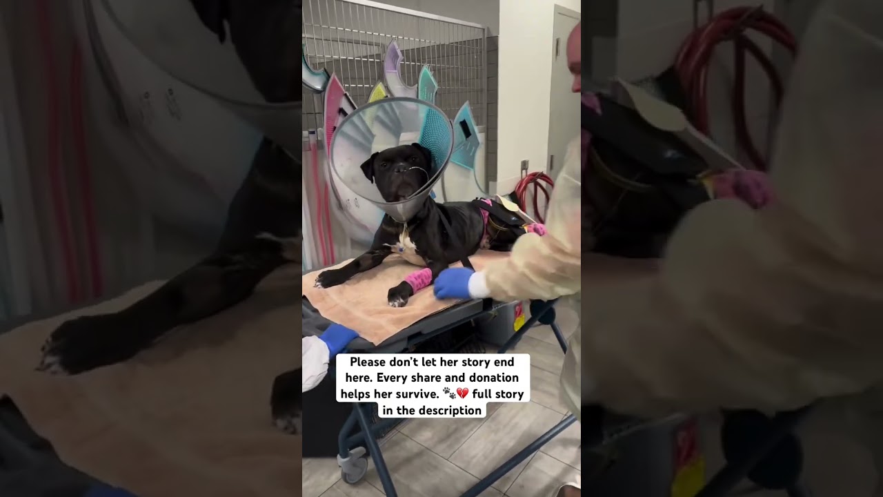 Through your compassion and generosity will this innocent soul finally know hope again.