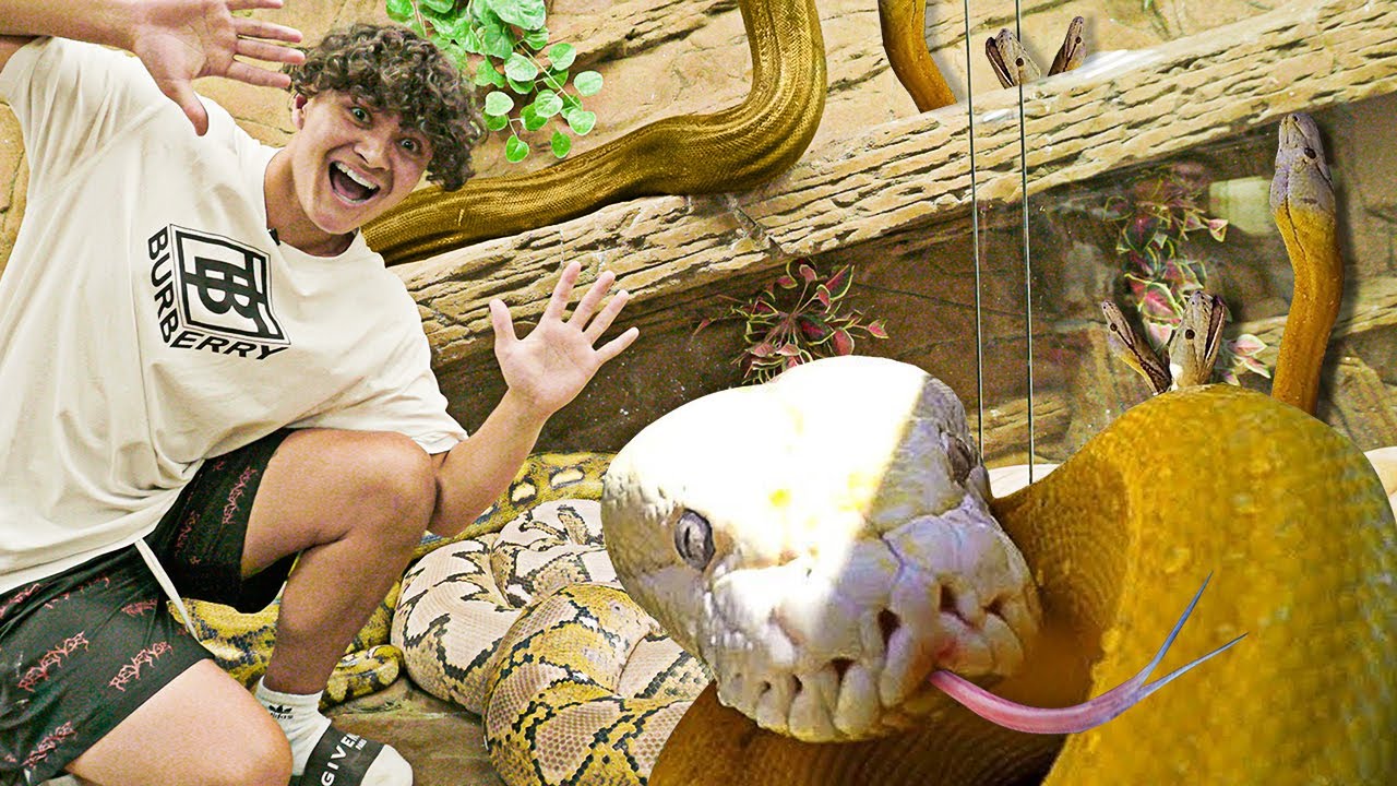 Spending 24 Hours In A Snake Pit (Crazy Dares w/ Pets)