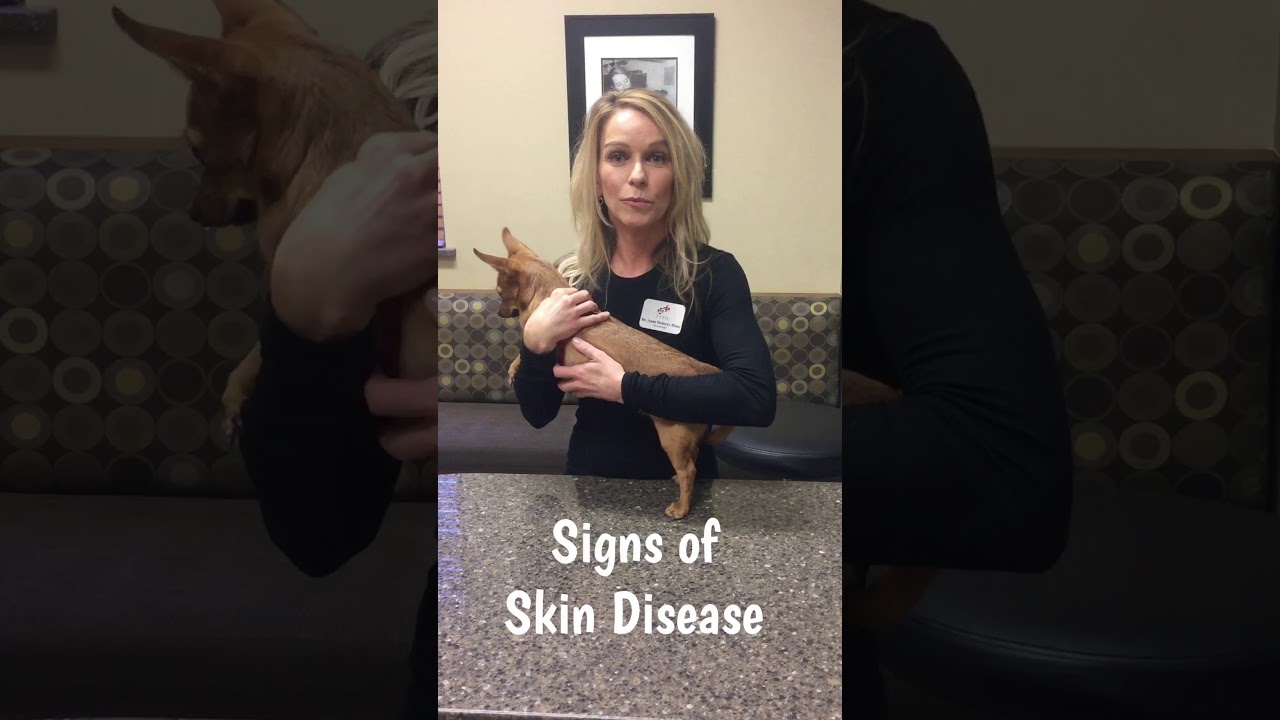 Signs of Skin Disease