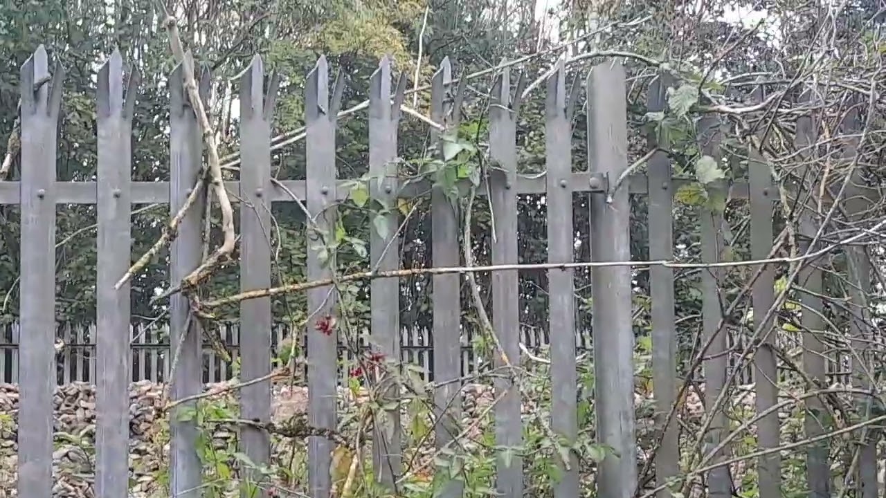 The bottom of Ash Lane, Widnes Sunday October 13th 2024