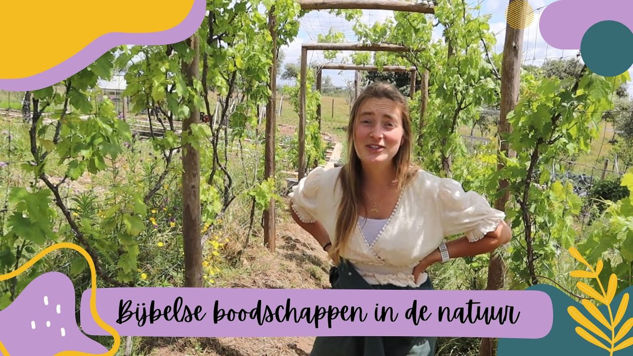 Bijbelse boodschappen in de natuur