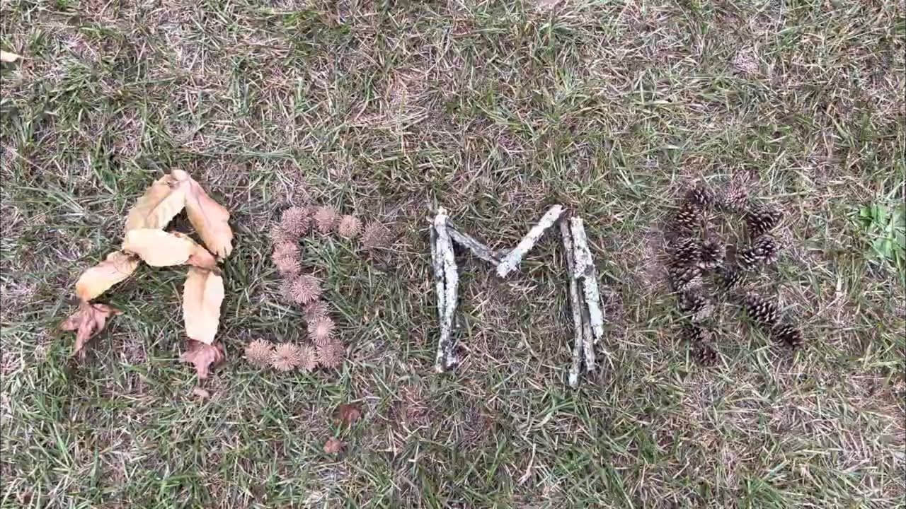 🍂Fall🍂 ASMR In my Yard : Crunchy Leaf and Acorn Sounds