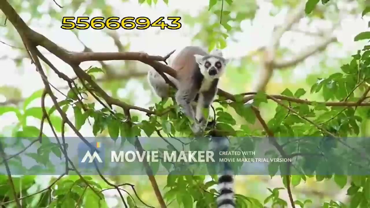من اجمل جلسات العود الزعل يا صاحبي