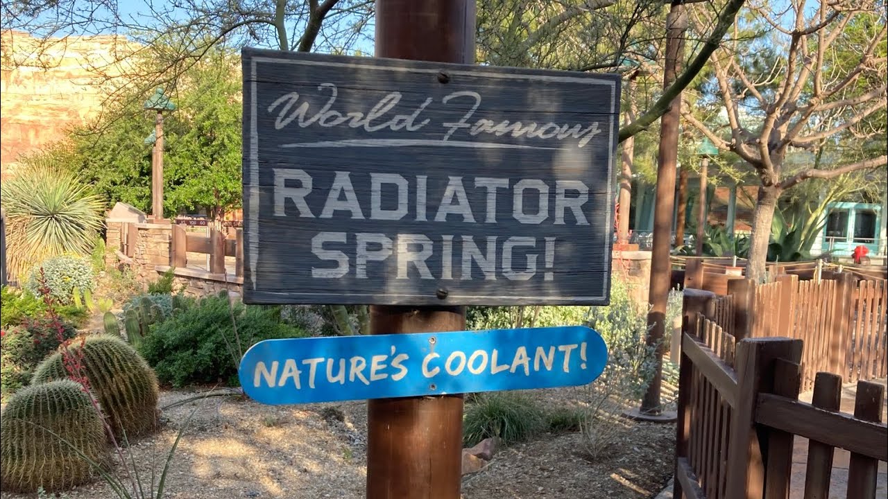 Ride Radiator Springs Racers!