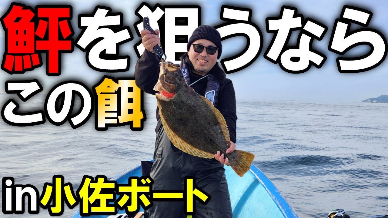 泳がせ釣りでヒラメを狙うならこの餌!!in小佐ボート,豊浜釣り桟橋沖,アジより反応が良い餌は〇〇だった...!?
