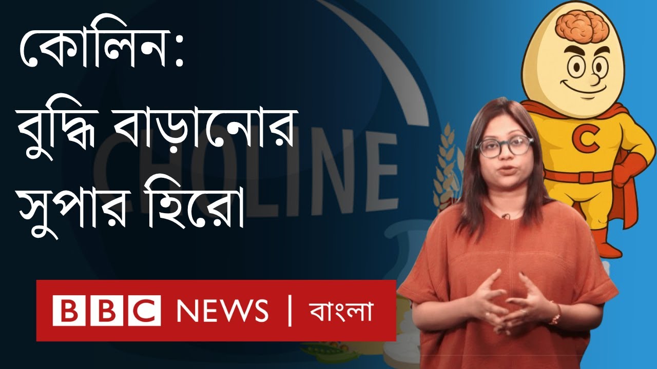 কোলিন: কেন ডিম খেলে বুদ্ধি বাড়ে? বুদ্ধি বাড়ানোর এক অবহেলিত সুপার হিরো নিয়ে জানুন | BBC Bangla
