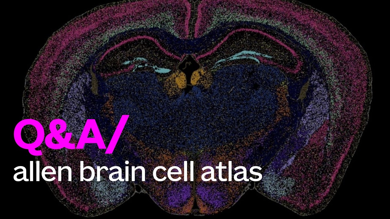 Programmatic Access  to Allen Brain Cell Atlas - Getting Started