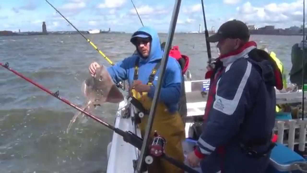 Mersey Summer