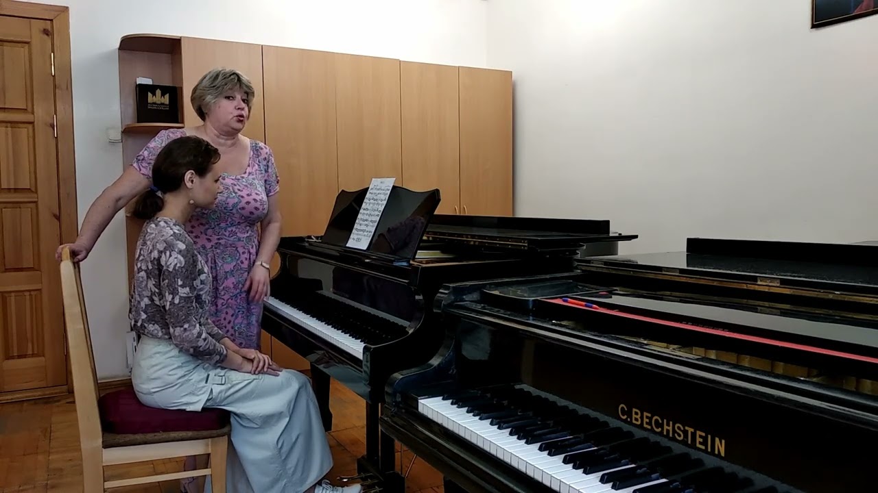Й.Гайдн. Соната Ми мажор. 1 часть. Moderato. Исполнительские комментарии.