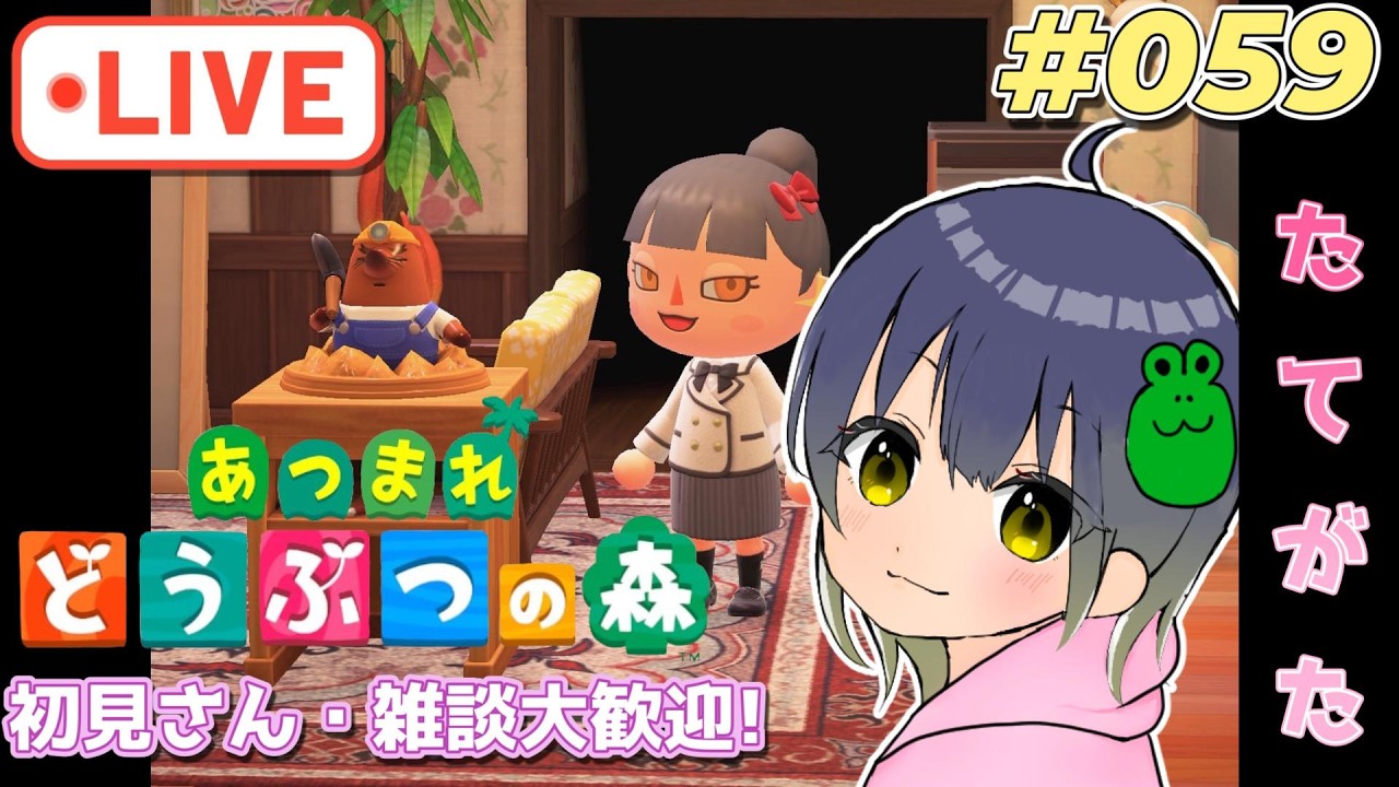 【あつ森】ホテル作ってから図鑑集めするぞ☆初見さん・雑談大歓迎♪ #059