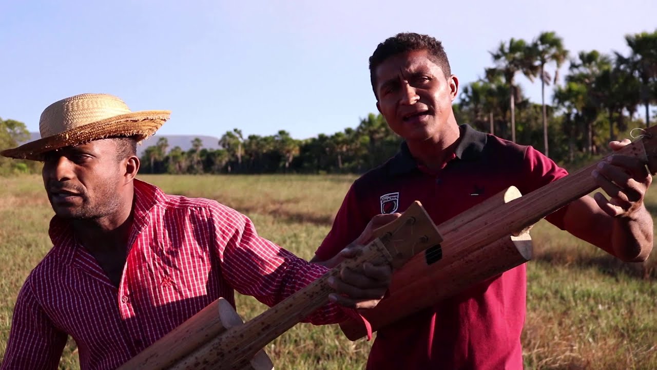 A Viola de Buriti