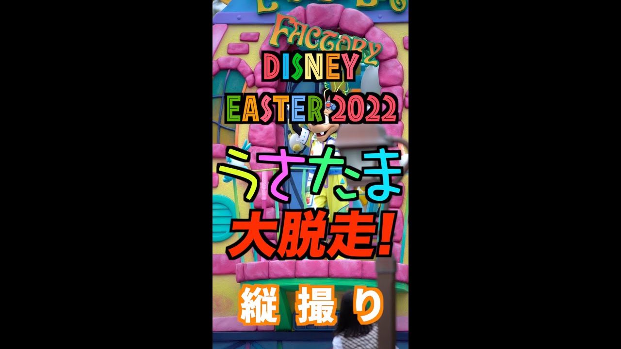 【縦撮り・見納め】うさたま大脱走！（2022年5月15日 TDL）
