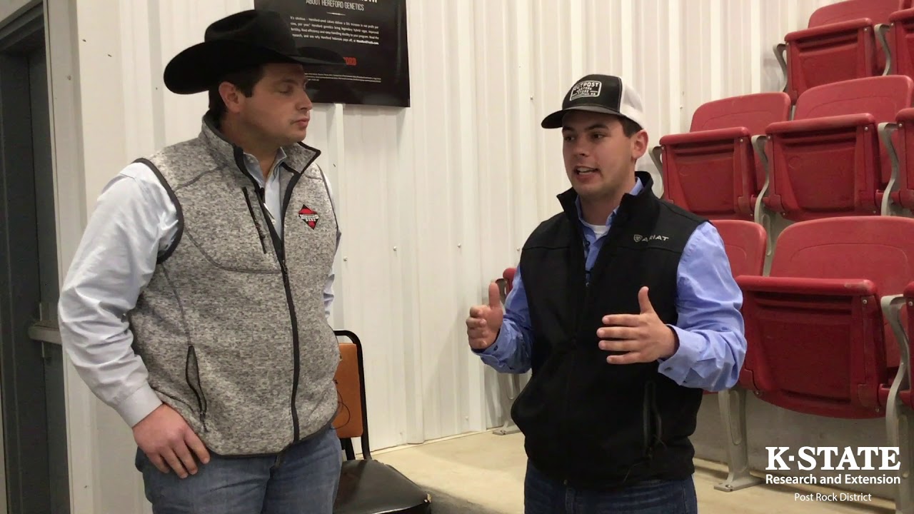 Cross Breeding Beef Cattle: Heterosis and Herefords