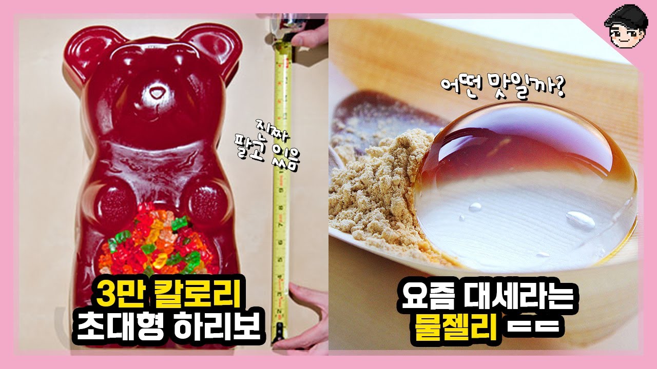 젤리가 원래 보양식이었다고? 젤리의 소름 돋는 비밀 TOP5 [빠퀴2tv]