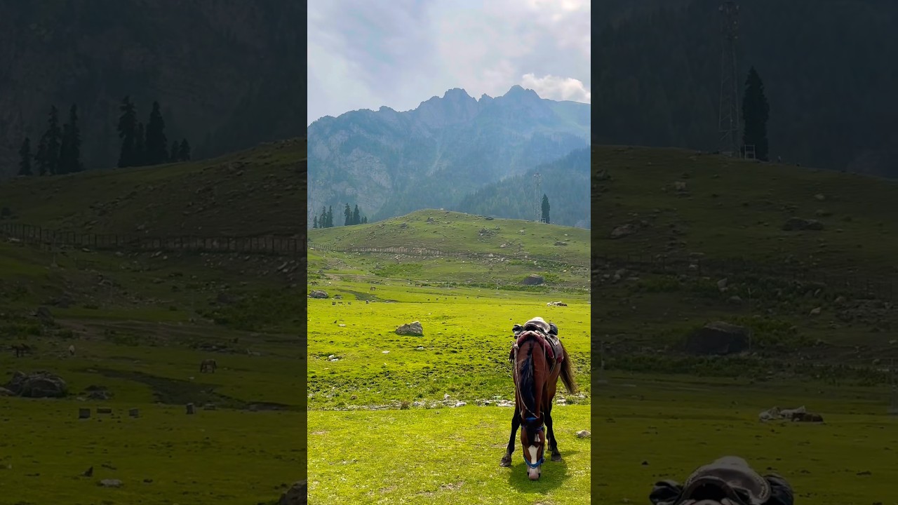 #jammukashmir #sonmarg #mountains #nature #trending #love #song #shorts #shortsfeed #viral #video#yt
