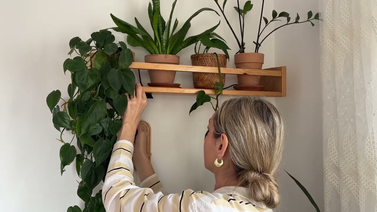 How I Restyled My Plant Corner for Winter 🏡🪴❄️@GreenLifebyAlishka