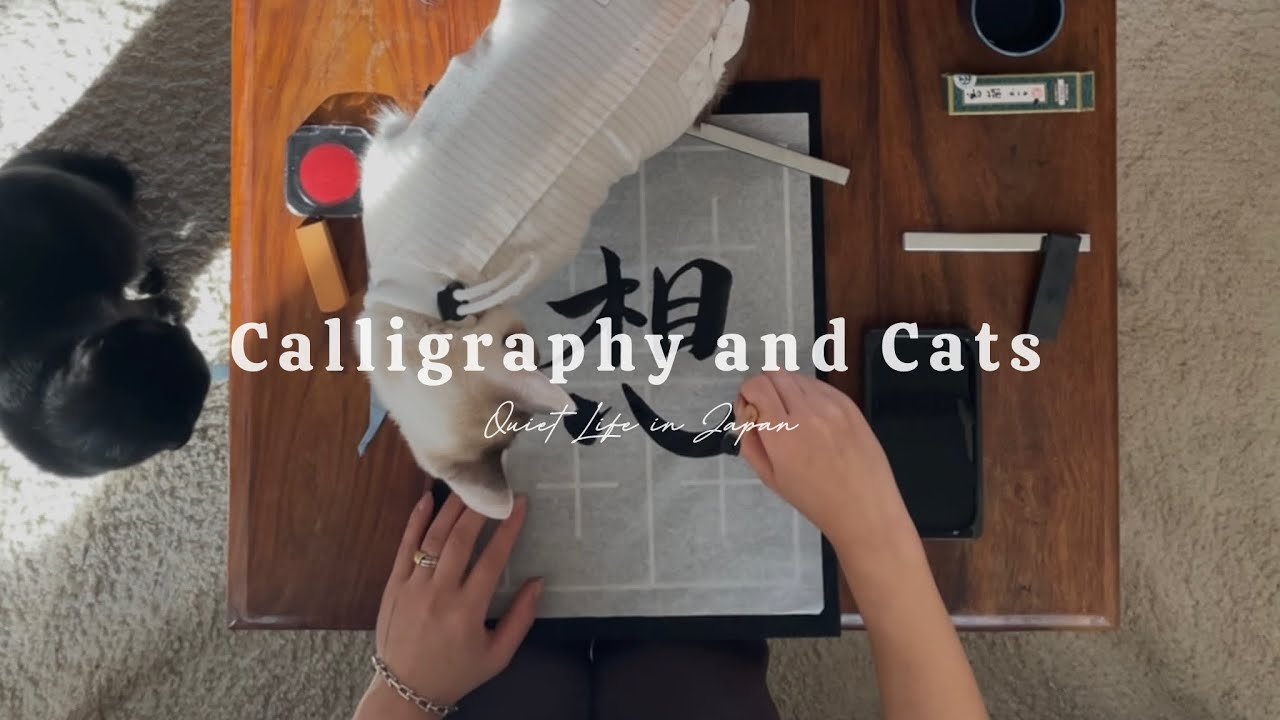 My Cats watching Japanese Calligraphy