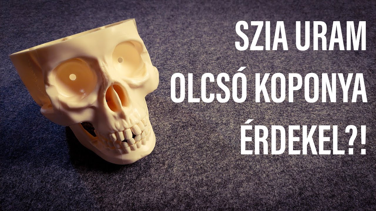 Emberi koponya modell 350 Ft-&eacute;rt?! -Az Emberi Test Sorozat első r&eacute;sz