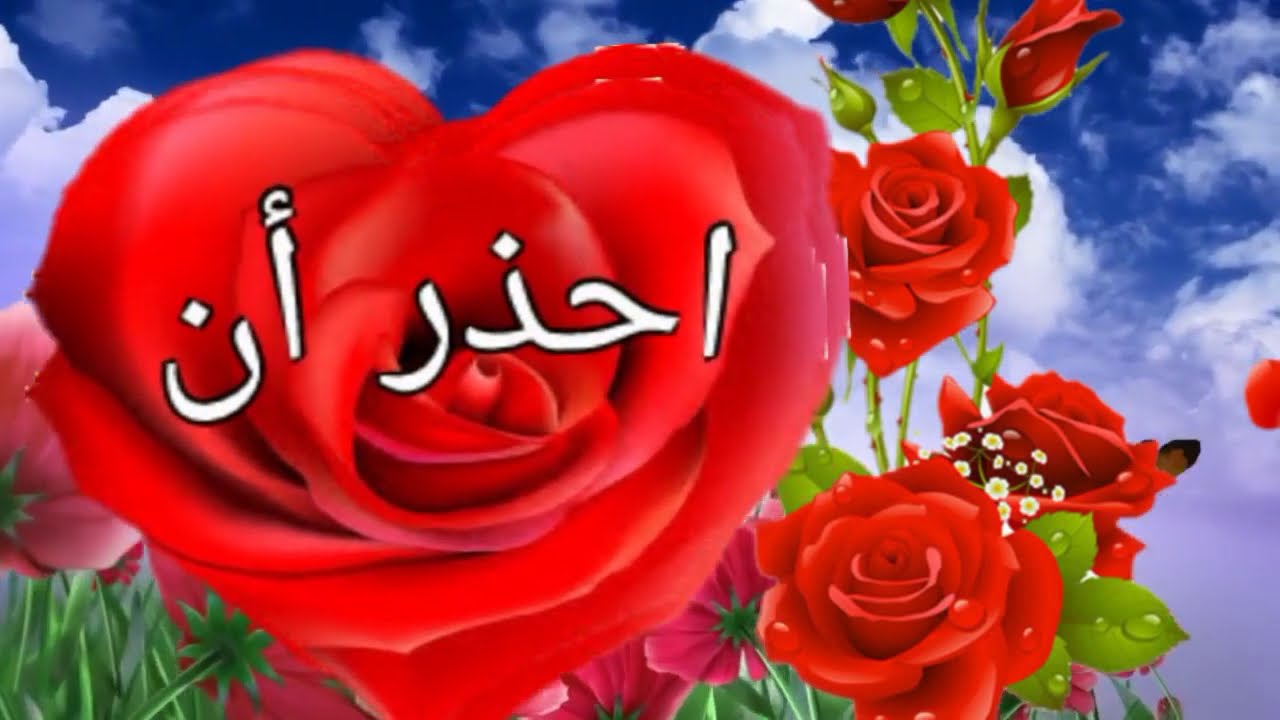 انت وحدك في قلبي