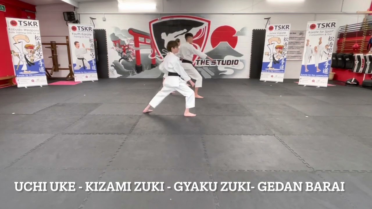 2nd Kyu Karate Kihon Basics Brown Belt Two White Stripes 2nd Kyu