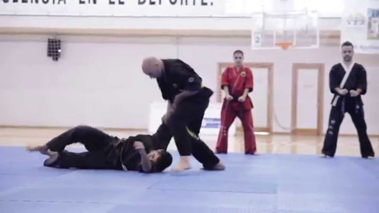 Exhibición de Hapkido del Janol Do Dochang