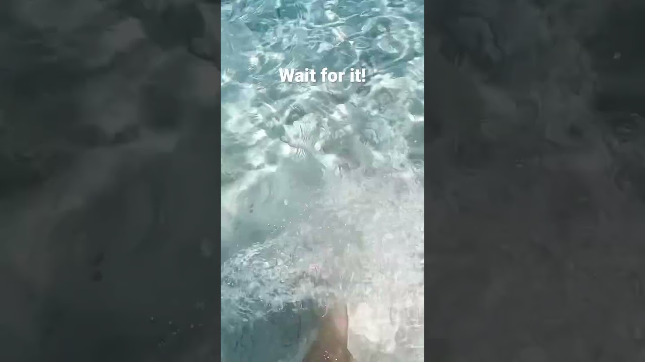 Der schönste Strand Europas?! Der Strand Cala Pira auf Sardinien ist die Karibik von Europa 