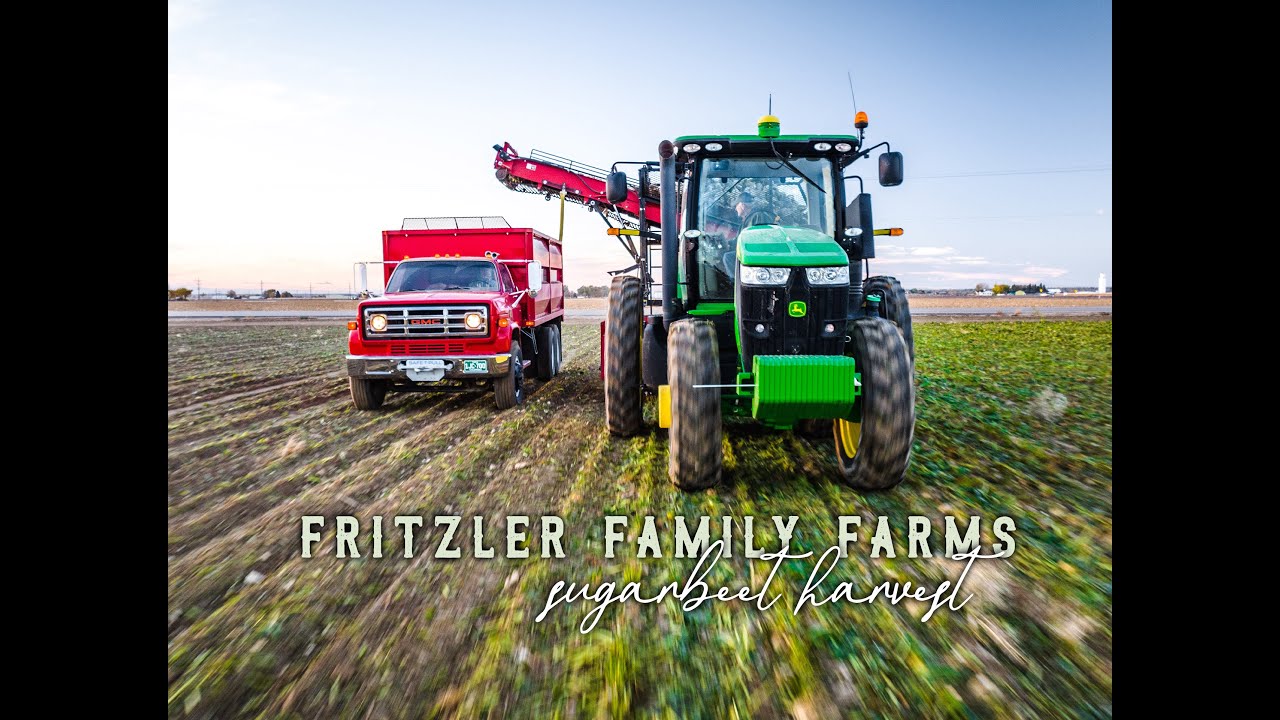 Fritzler Beet Harvest 2022