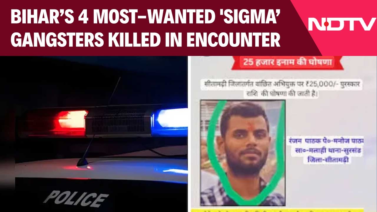 Sigma Gang News | 4 Most-Wanted Gangsters From 'Sigma Gang' Killed In Delhi Encounter