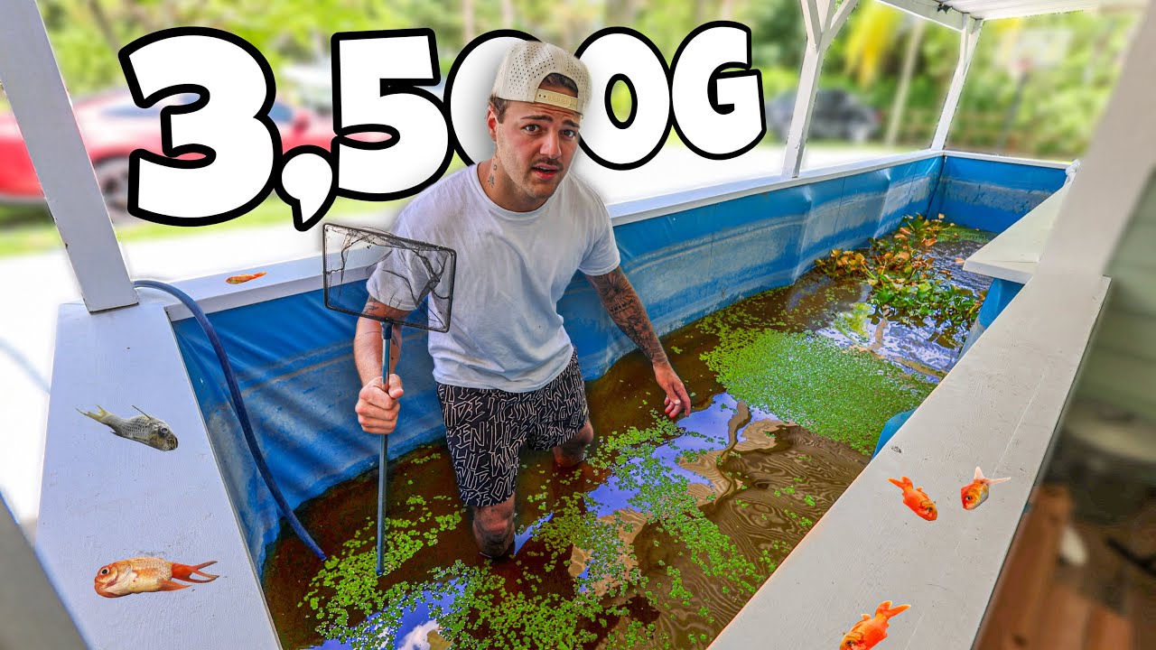 I emptied My POND and Found THIS…