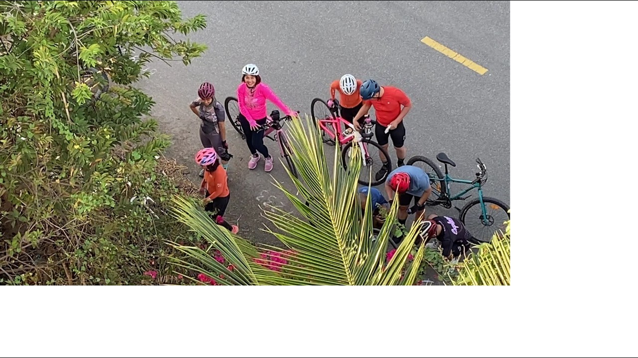 Beautiful cyclist caught harvesting custard apples. Người đẹp bị bắt quả tang hái trộm na.