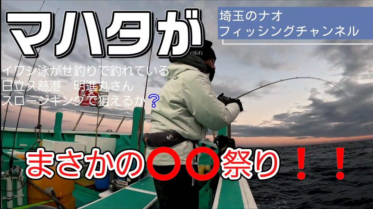 裏本命マハタがイワシ泳がせ釣りで釣れている　日立久慈港　明進丸さん　スロージギングで狙えるか❔　まさかの⭕⭕祭り❗❗