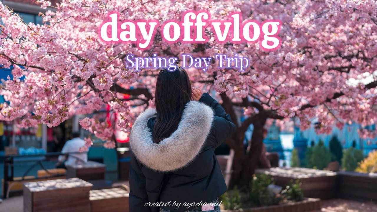 【vlog】三浦海岸の河津桜を見に行った日｜そのまま横浜デート🌷