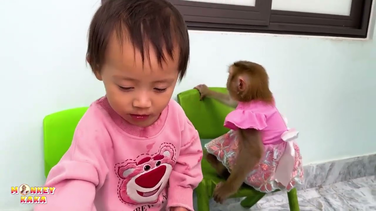 Top all video super lovely moments of Diem and Monkey Kaka