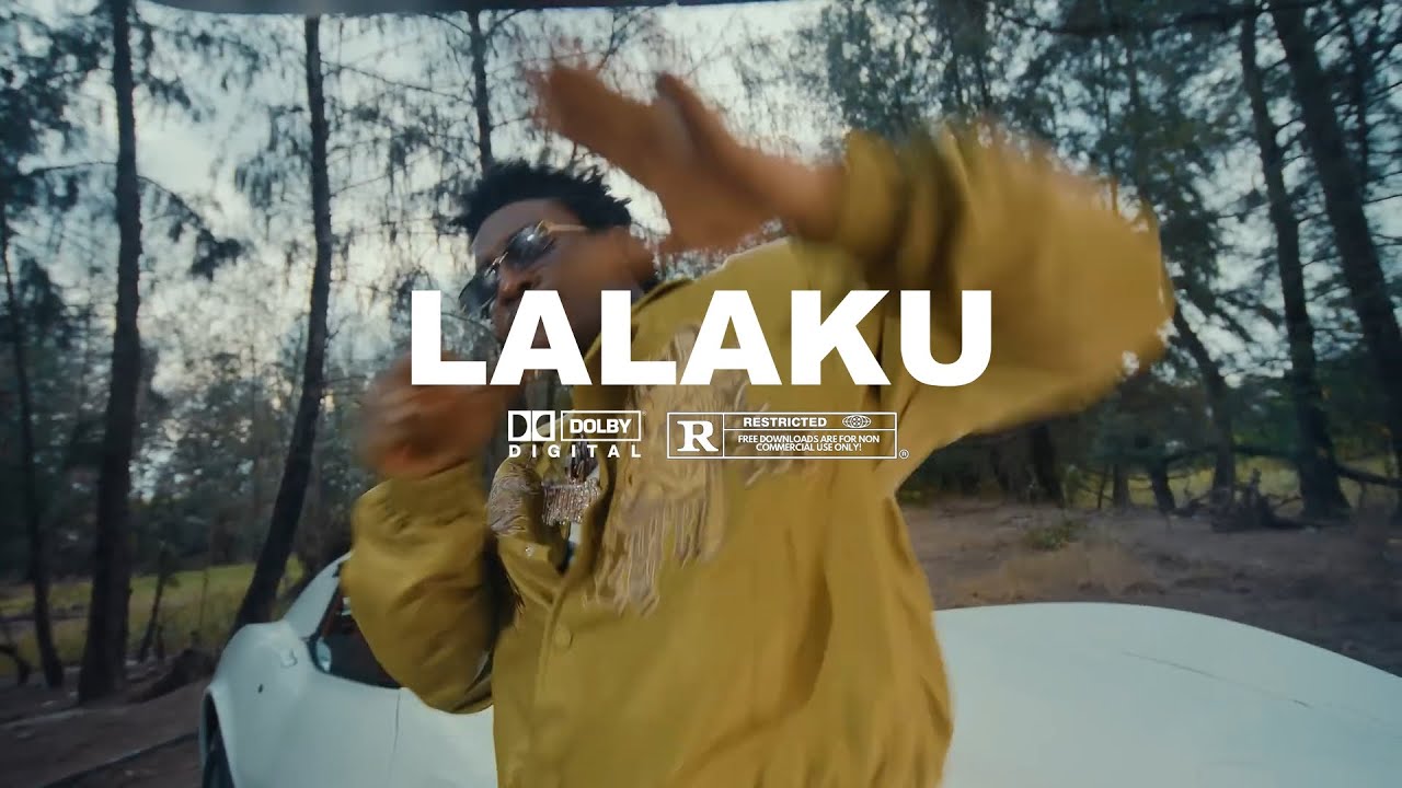 [FREE] Shallipopi x Olamide x Seyi Vibes Afro Fusion Type Beat - 'LALAKU'