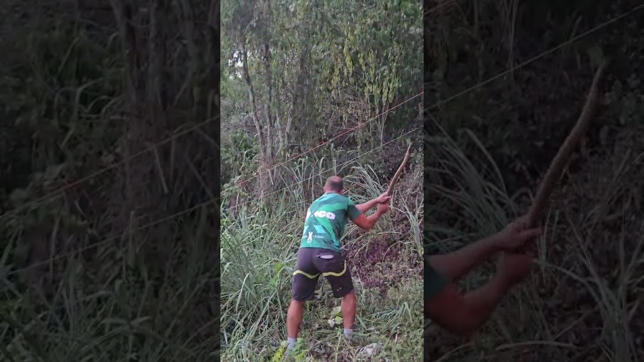 HOJE O TREINO FOI NA FOICE 