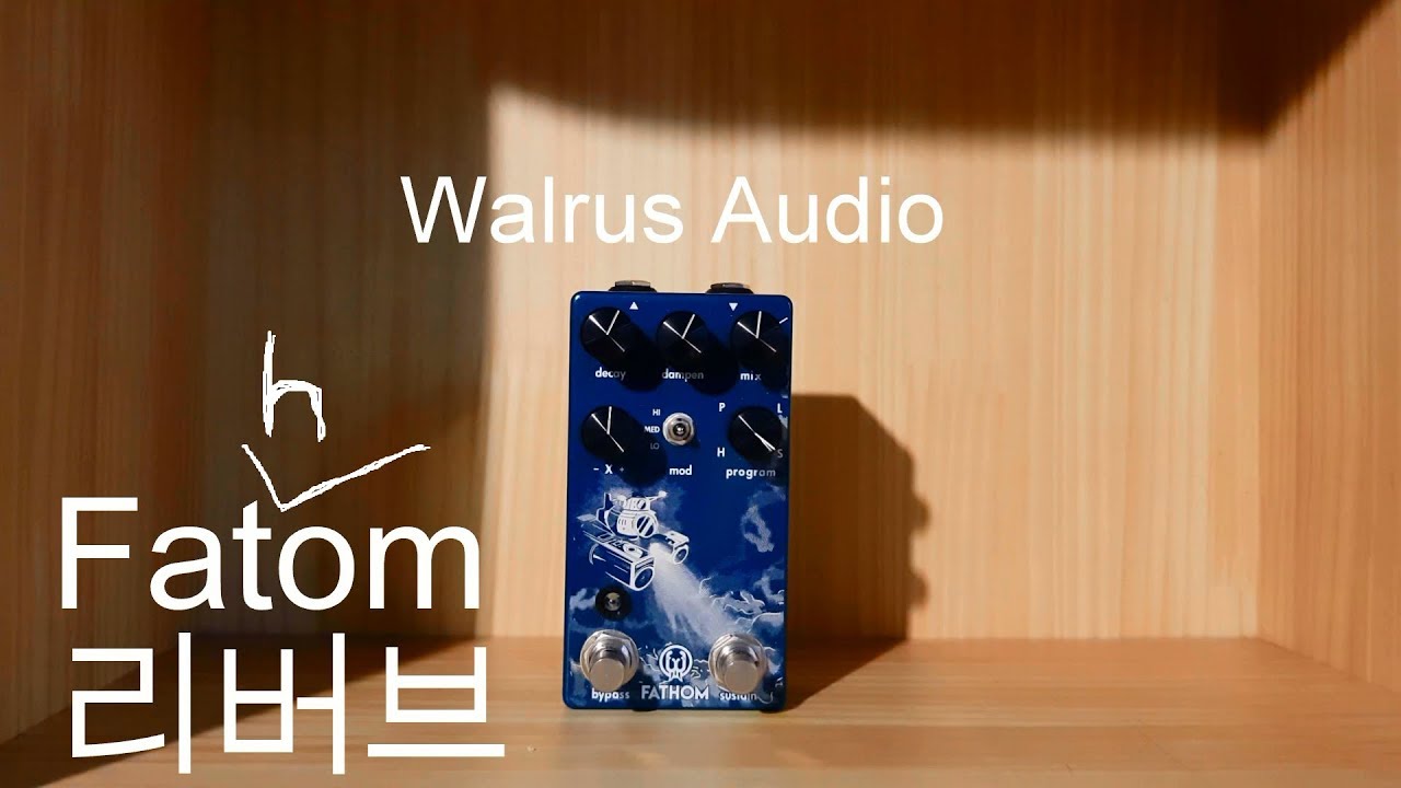 Walrus Audio - Fathom 리버브를 내가 엄-청 좋아하는 이유 4가지