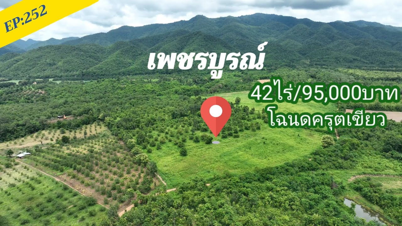 EP:252ขายที่ดินวิวภูเขาเนินหลังเต่า 42ไร่/95,000ต่อไร่นส3ก.หล่มสัก เพชรบูรณ์ 0910096124ษา