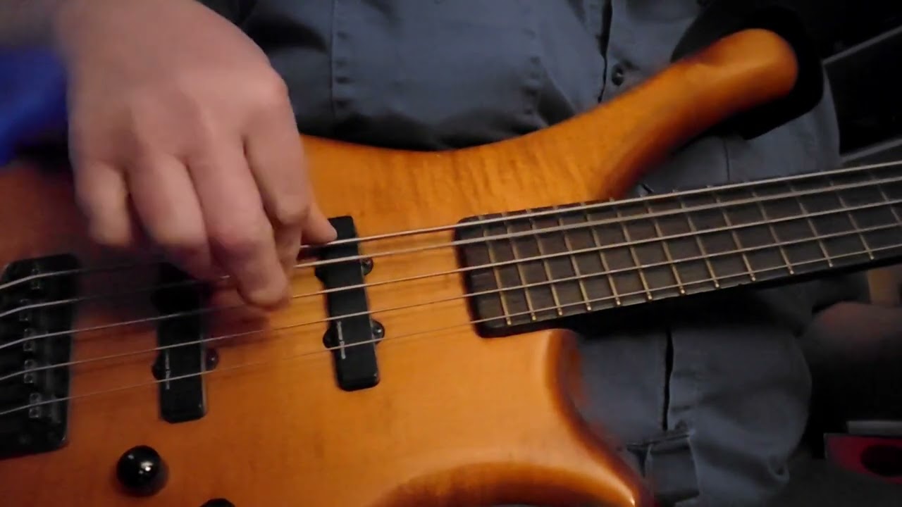 Warwick Fortress One 5-string Bass,  Built in 1995