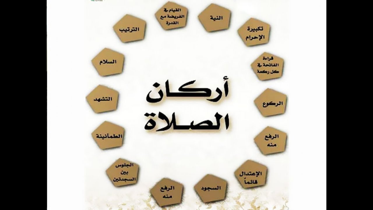 تعرف على أركان الصلاة في 3 دقائق .. شرح مبسط
