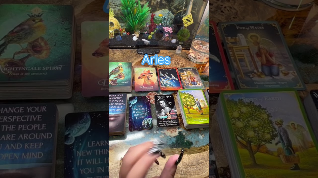 #aries #ariesreading