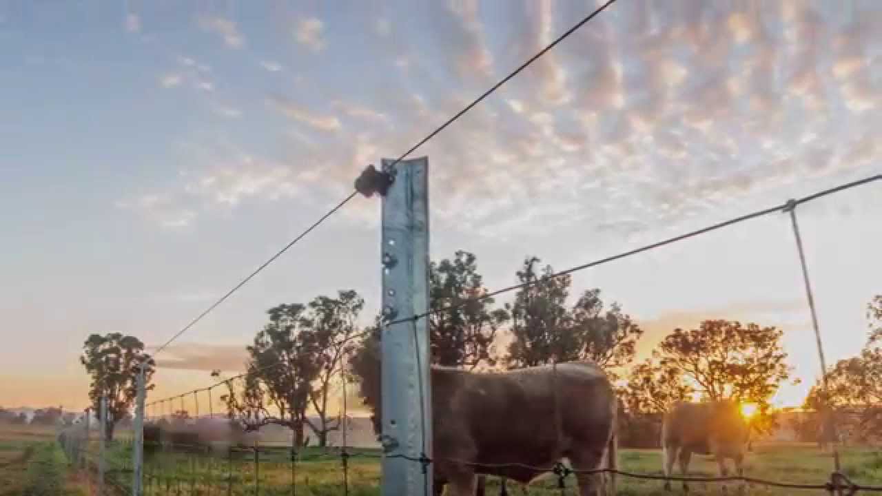 CLIPEX - Fencing and Stockyards