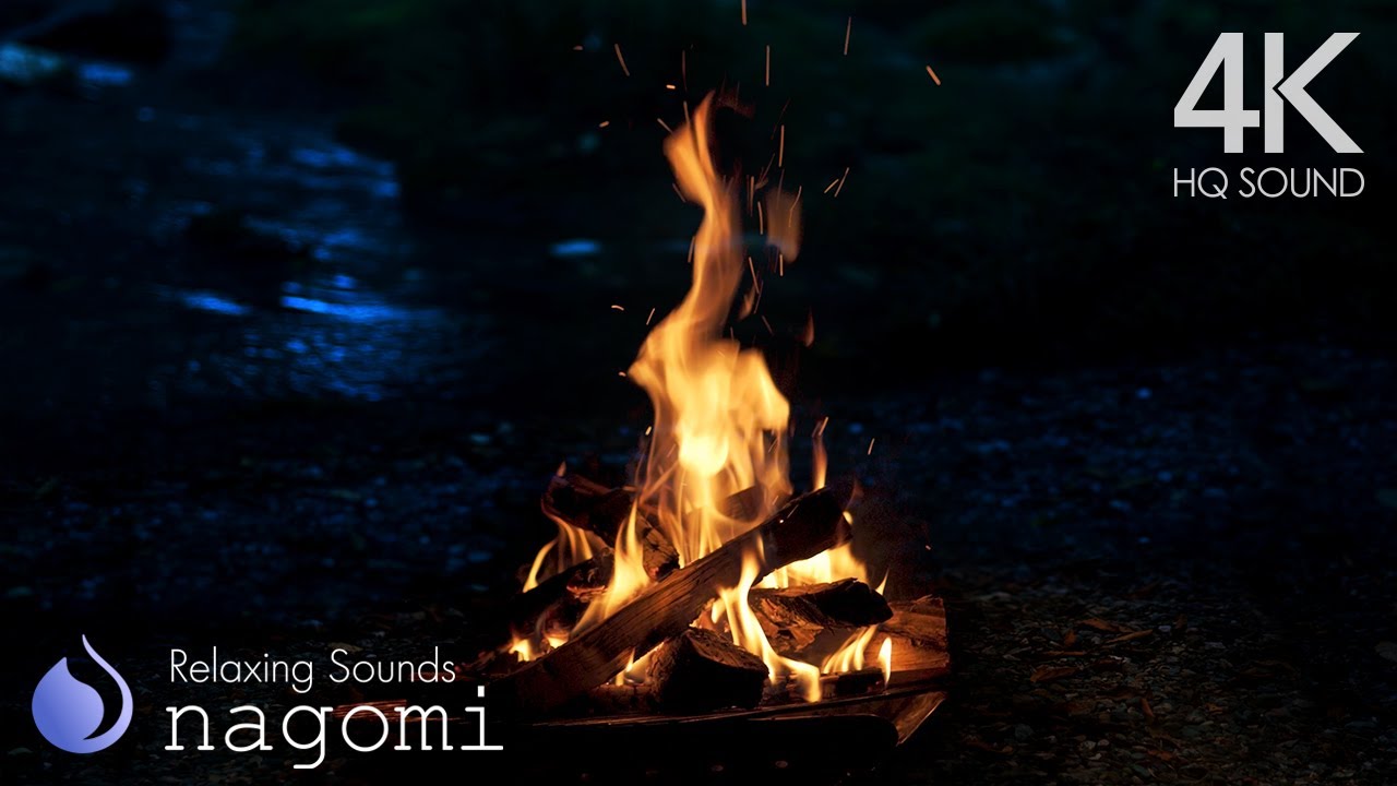 Campfire in Forest by the River at Night 🌙 Cozy Crackling Fire & River Sounds