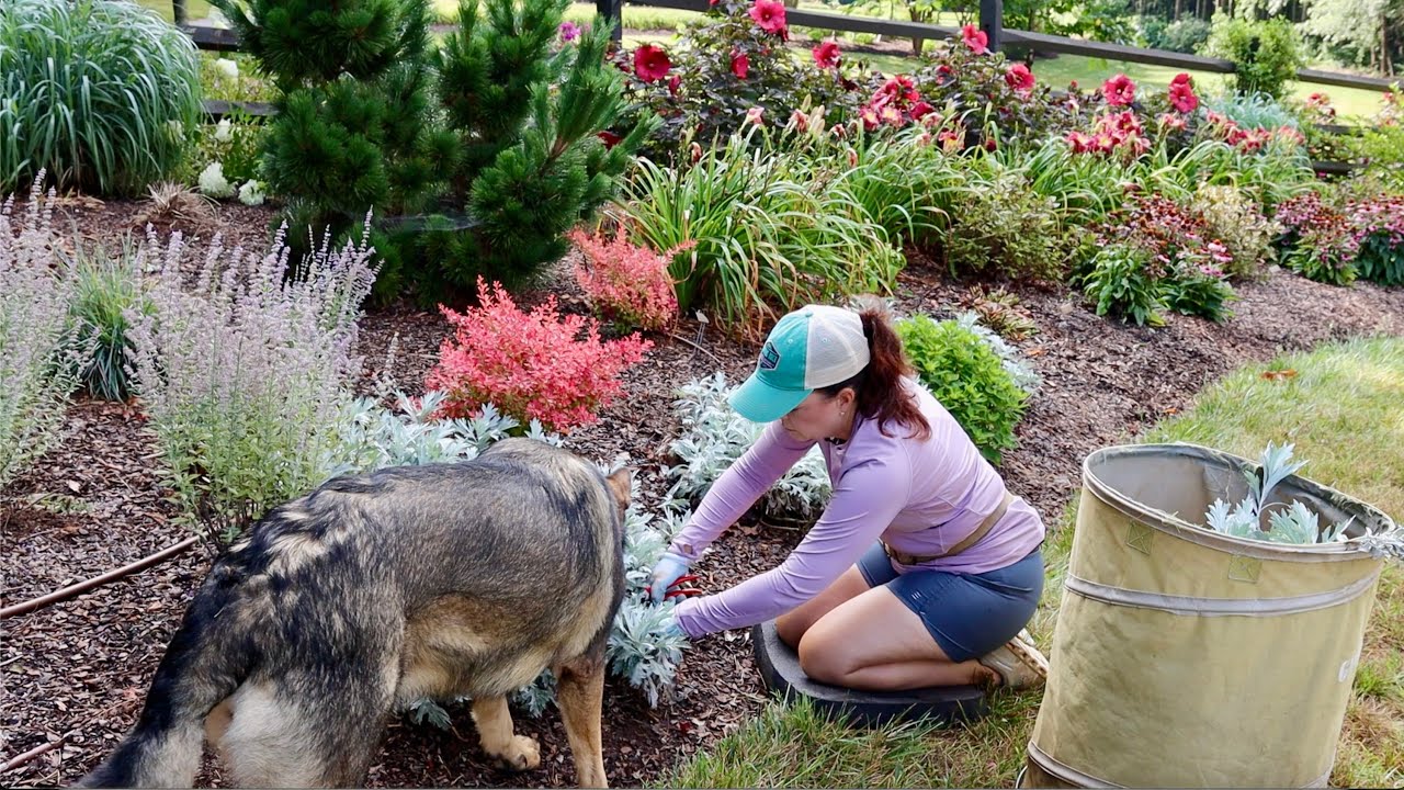 Easy Pruning Tips for the Mid-Season Garden