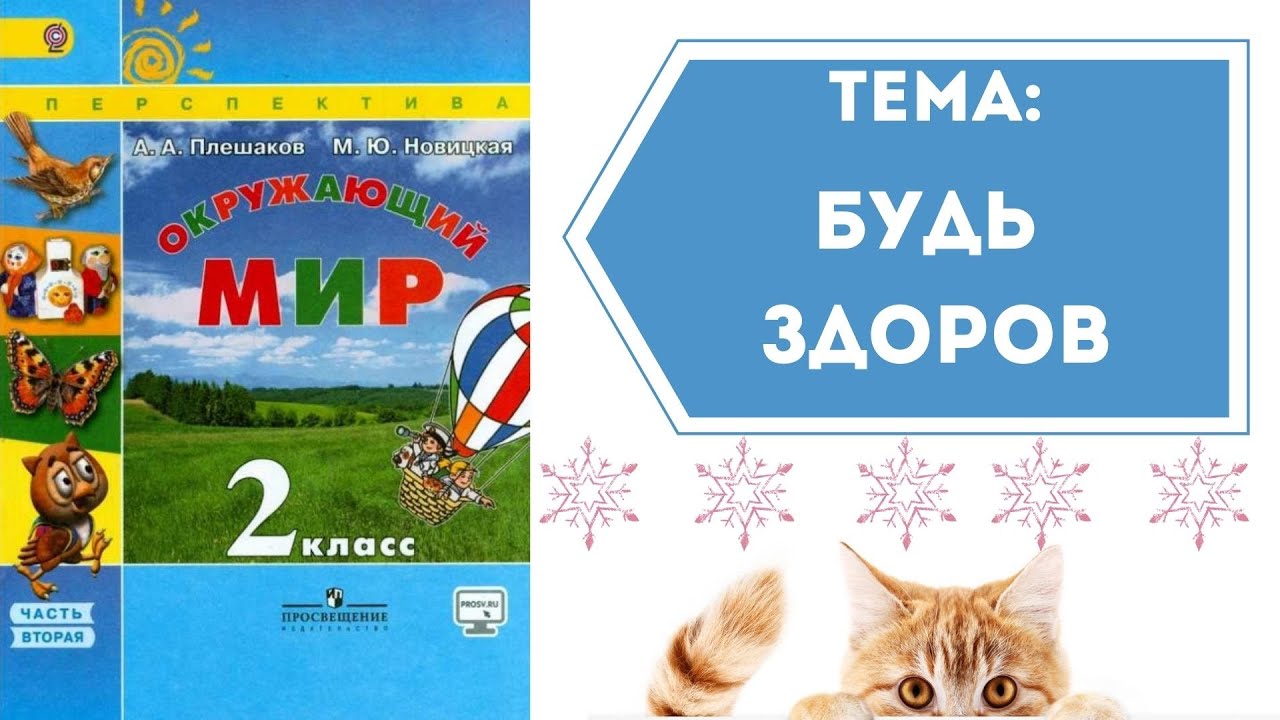 Окружающий мир 2 класс. ТЕМА 