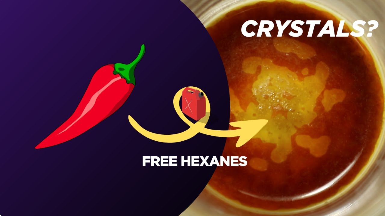 Using gasoline to purify spicy crystals | Capsaicin extraction from Carolina Reapers