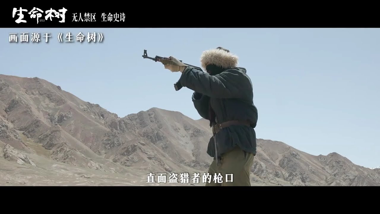 前辈的热血，浇灌了守护的信仰；英雄的足迹，指引着前行的方向。 巡山队接下接力棒，循着前辈的道路，继续奔赴每一寸荒原。致敬那些过去、现在、未来守护这片土地的人 #生命树 #杨紫 #胡歌