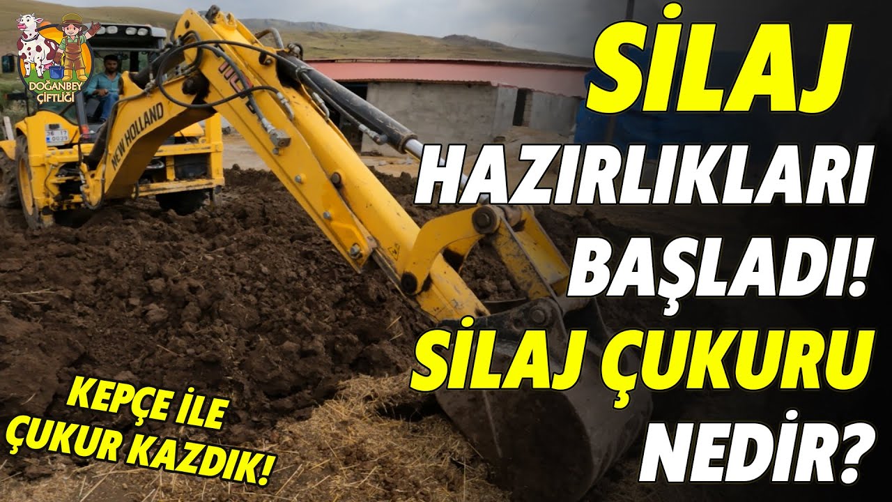 Silajın ser&uuml;veni! [B&ouml;l&uuml;m 1] Silaj &Ccedil;ukuru nedir? Silajlar neden &ccedil;ukurda toplanır?  Silaj nedir?