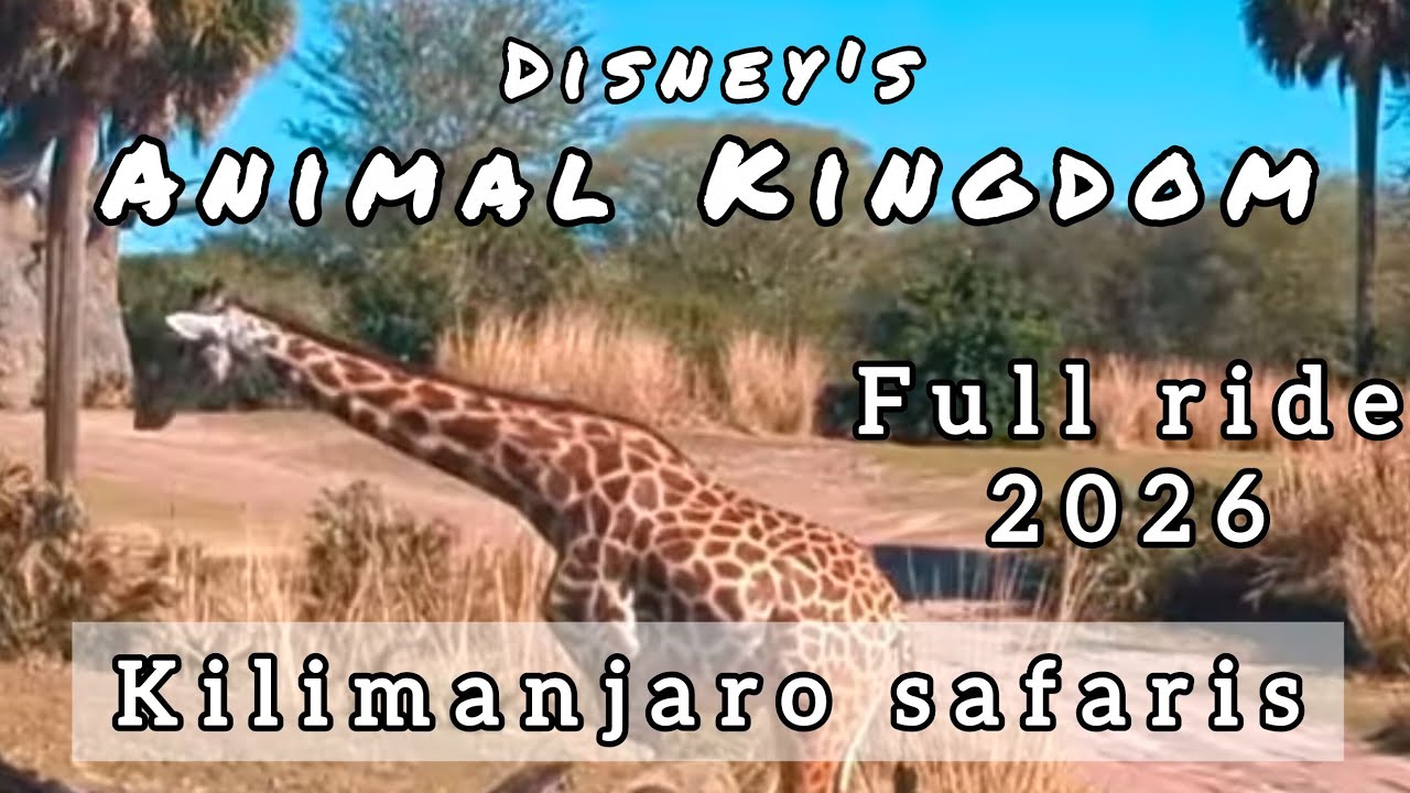 Animal Kingdom Kilimanjaro Safari's full ride 2026 4K